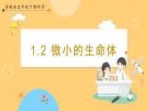 【苏教版】五下科学  1.2微小的生命体（课件+教案+同步练习）