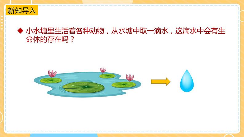 1.2微小的生命体（课件）第4页