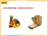 【蘇教版】五下科學  1.3發(fā)霉與防霉（課件+教案+同步練習）
