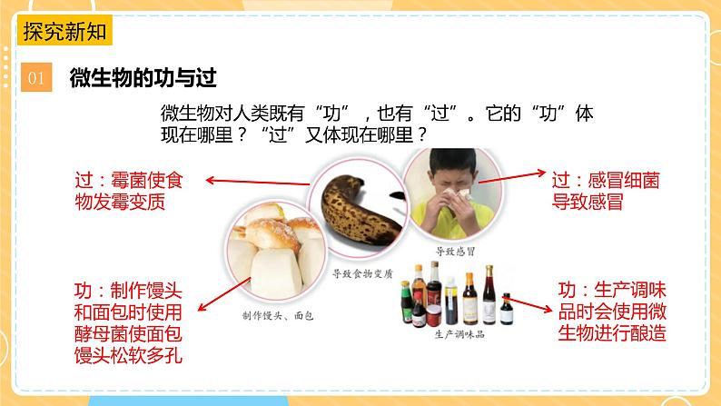 【苏教版】五下科学  1.4微生物的功与过（课件+教案+同步练习）06