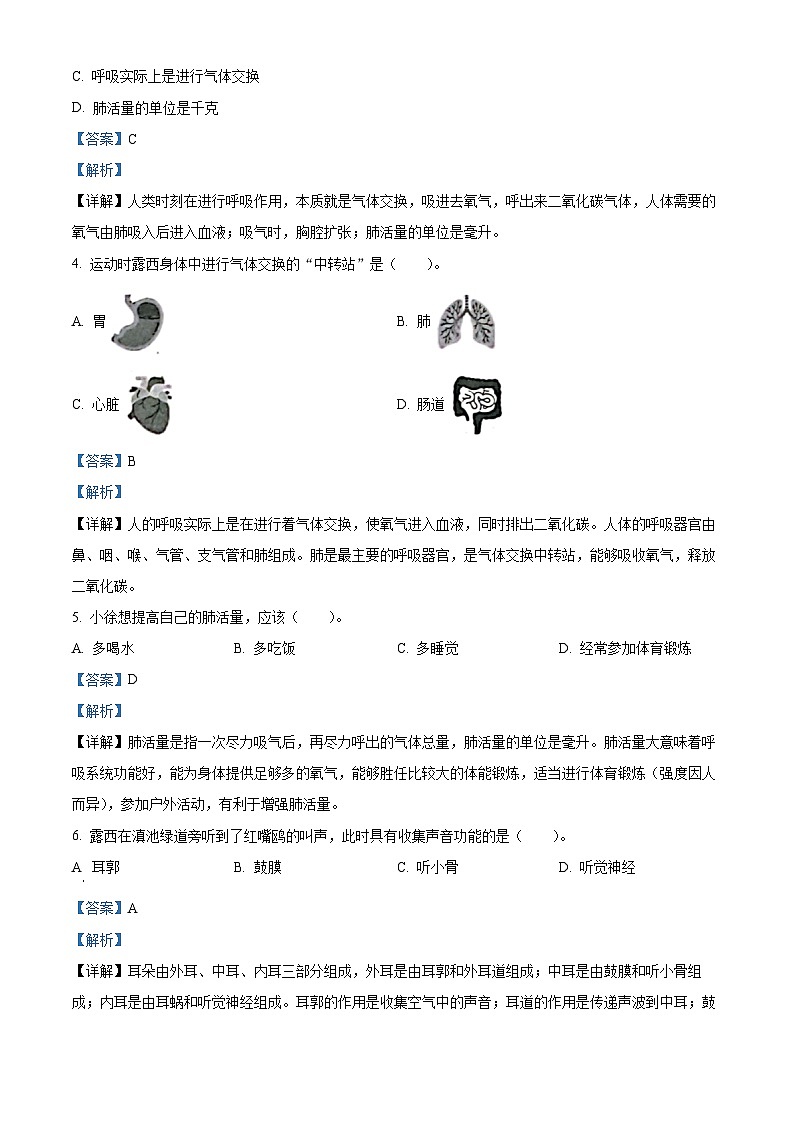 2023-2024学年云南省昆明市官渡区教科版四年级上册期末考试科学试卷02