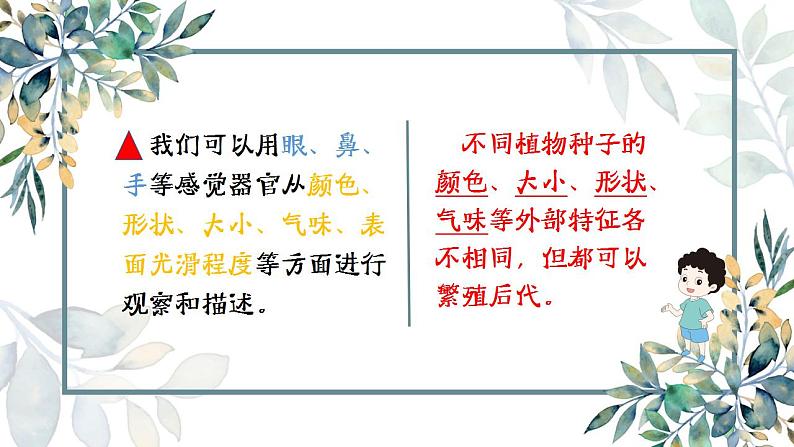 教科版四年级下册 第一课 种子里孕育着新生命 同步课件第6页