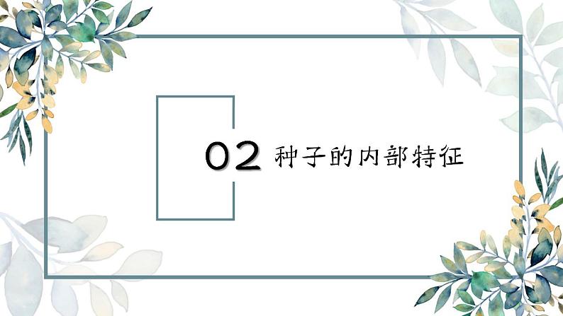 教科版四年级下册 第一课 种子里孕育着新生命 同步课件第7页