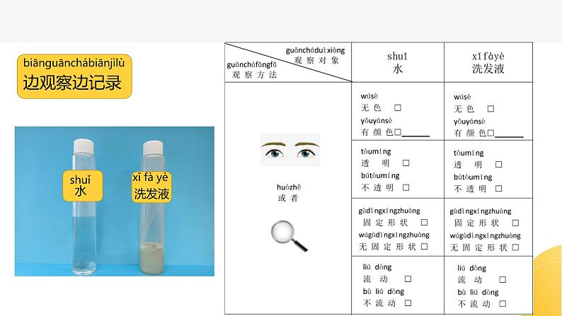 杭州教科版一年级下册科学第一单元《5.观察一瓶水》课件05