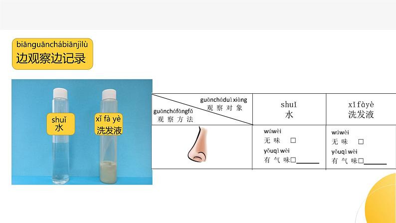 杭州教科版一年级下册科学第一单元《5.观察一瓶水》课件06