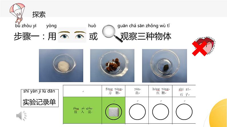 杭州教科版一年级下册科学第一单元《6.它们去哪里了》课件07