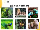 杭州教科版一年级下册科学第二单元《6.给动物分类》课件