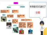 杭州教科版一年级下册科学第二单元《6.给动物分类》课件
