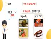 杭州教科版一年级下册科学第二单元《6.给动物分类》课件