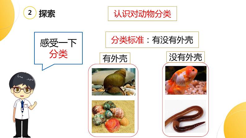 杭州教科版一年级下册科学第二单元《6.给动物分类》课件05