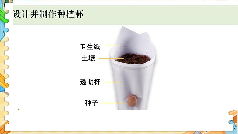 教科版科学四年级下册 1.2种植凤仙花 教学课件第7页