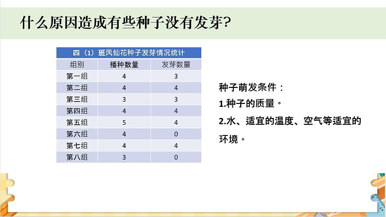 教科版科学四年级下册 1.3种子长出了根 教学课件02