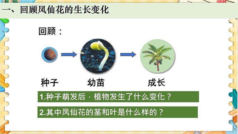 教科版科学四年级下册 1.4茎和叶 教学课件第2页