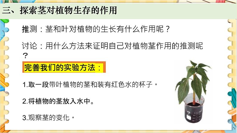 教科版科学四年级下册 1.4茎和叶 教学课件第5页