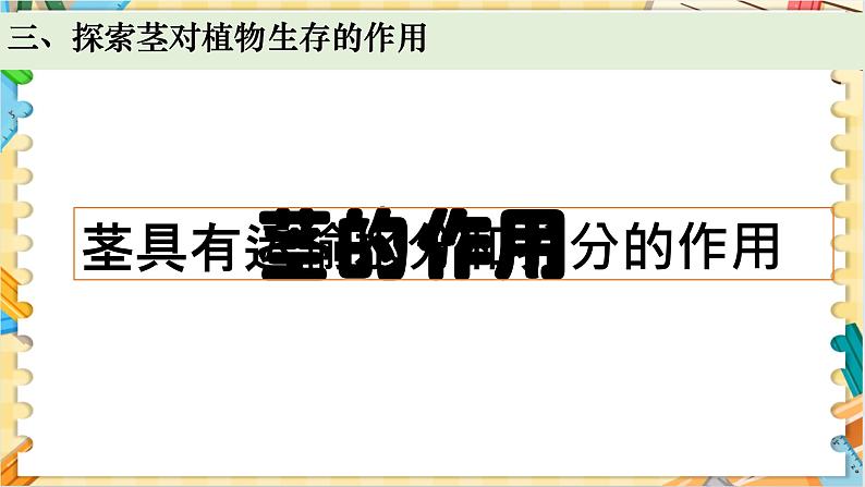 教科版科学四年级下册 1.4茎和叶 教学课件第8页