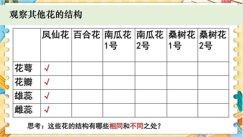 教科版科学四年级下册 1.5凤仙花开花了 教学课件07