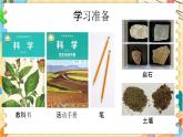 教科版科学四年级下册 3.1岩石与土壤的故事 教学课件