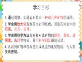 教科版科学四年级下册 3.3岩石的组成 教学课件