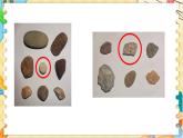 教科版科学四年级下册 3.4制作岩石和矿物标本 教学课件