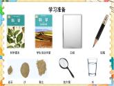 教科版科学四年级下册 3.5岩石、沙和黏土 教学课件