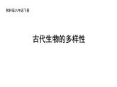 教科版六年级下册科学第二单元《6.古代生物的多样性》课件（定稿）