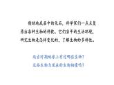 教科版六年级下册科学第二单元《6.古代生物的多样性》课件（定稿）