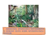 教科版六年级下册科学第二单元《7.保护生物多样性》课件（定稿）