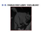 教科版六年级下册科学第三单元《5.夏季星空》课件（定稿）