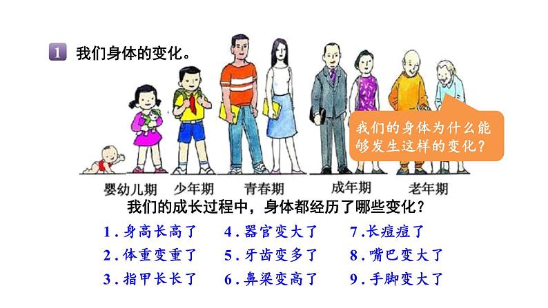 教科版六年级下册科学第四单元《6.生命体中的化学变化》课件（定稿）第4页