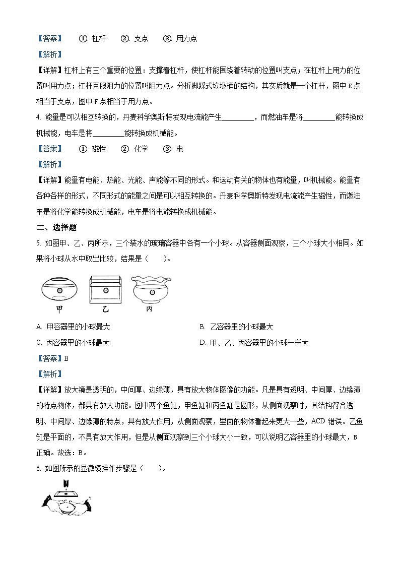 2023-2024学年浙江省嘉兴市平湖市教科版六年级上册期末考试科学试卷第2页