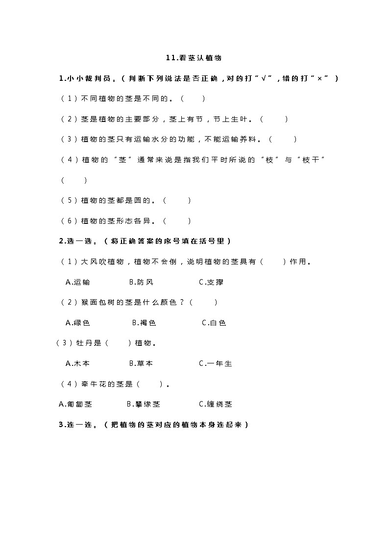 11 看茎认植物作业第1页
