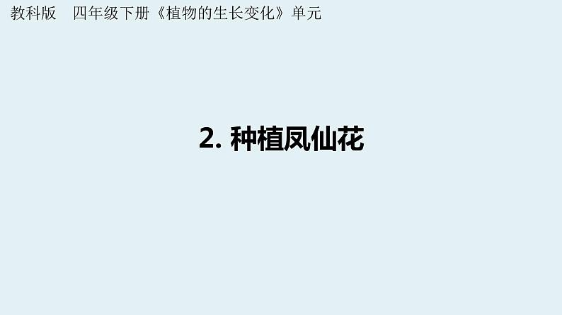 杭州教科版四年级下册科学第一单元《2.种植凤仙花》课件第1页