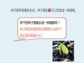 杭州教科版四年级下册科学第一单元《2.种植凤仙花》课件