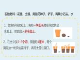杭州教科版四年级下册科学第一单元《2.种植凤仙花》课件