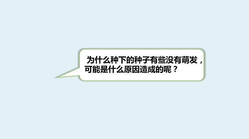 杭州教科版四年级下册科学第一单元《3.种子长出了根》课件06