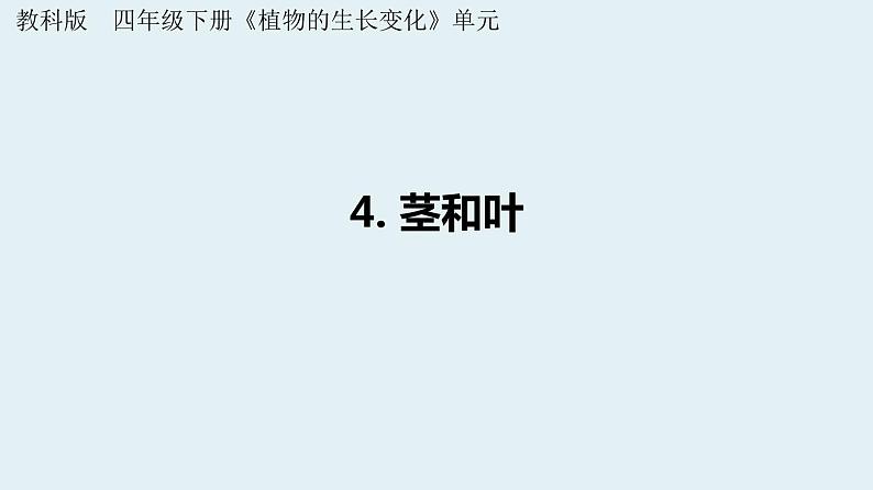 杭州教科版四年级下册科学第一单元《4.茎和叶》课件第1页