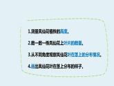 杭州教科版四年级下册科学第一单元《4.茎和叶》课件