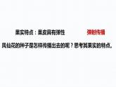 杭州教科版四年级下册科学第一单元《7.种子的传播》课件