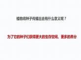 杭州教科版四年级下册科学第一单元《7.种子的传播》课件