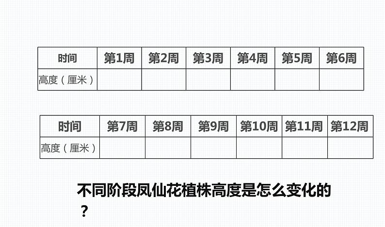 杭州教科版四年级下册科学第一单元《8.凤仙花的一生》课件第5页