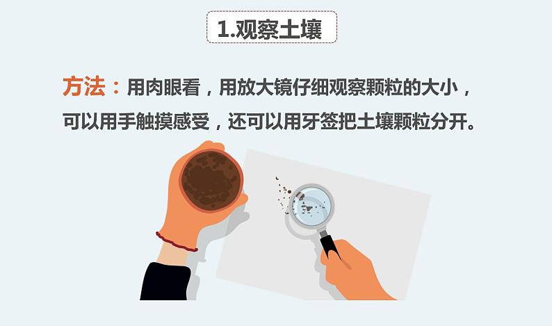 杭州教科版四年级下册科学第三单元《6.观察土壤》课件第5页