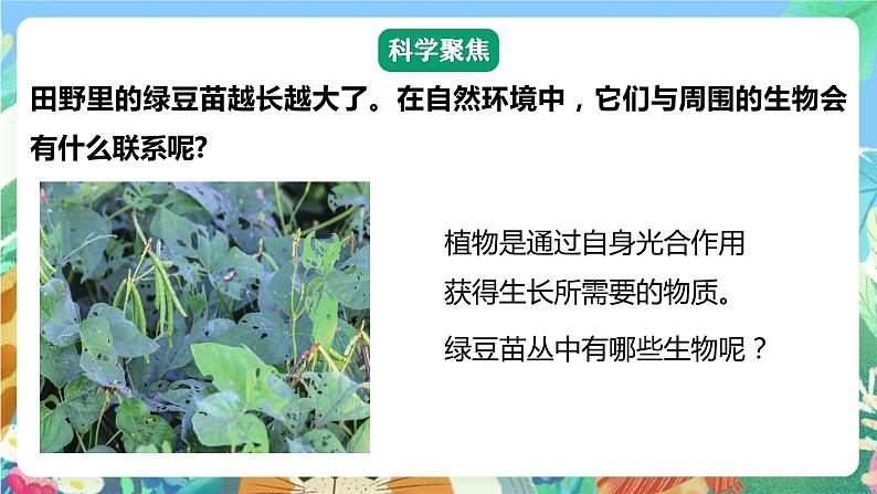 【核心素养】教科版科学五下1.6《食物链和食物网》课件+素材04