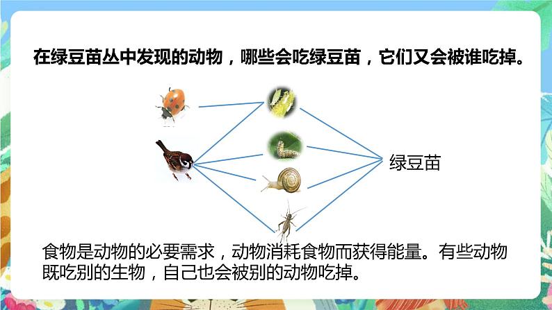 【核心素养】教科版科学五下1.6《食物链和食物网》课件+素材08