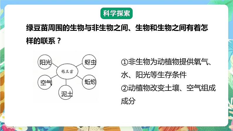 【核心素养】教科版科学五下1.7《设计和制作生态瓶》课件+素材07