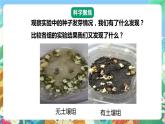 【核心素養(yǎng)】教科版科學(xué)五下1.2《比較種子發(fā)芽實驗》課件+素材