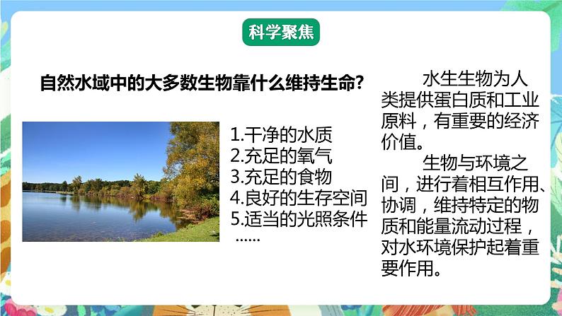 【核心素养】教科版科学五下3.7《分析一个实际的环境问题》课件第4页