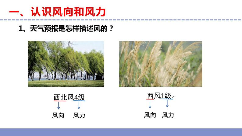 苏教版小学科学三年级下册第五单元《18.风向和风力》课件+教案+视频+作业04