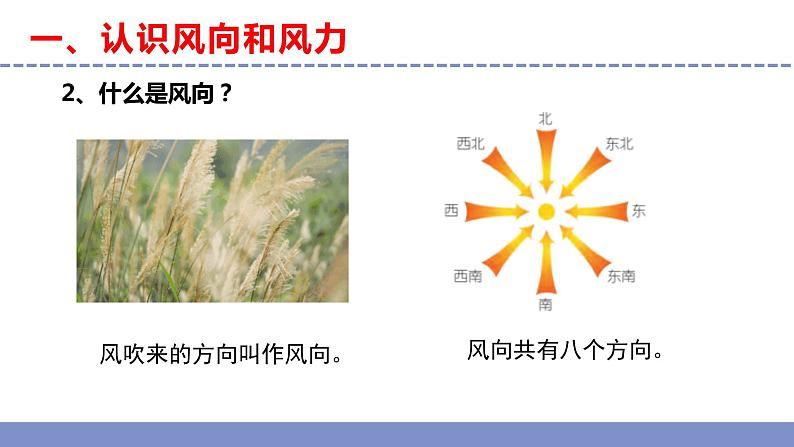 苏教版小学科学三年级下册第五单元《18.风向和风力》课件+教案+视频+作业05