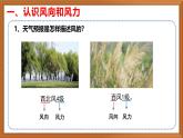 苏教版小学科学三年级下册第五单元《18.风向和风力》课件+教案+视频+作业