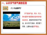 苏教版小学科学三年级下册第五单元《19.天气和气候》课件+教案+视频+作业